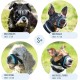 Gentle Muzzle for Dogs, Prevents Biting and Unwanted Chewing, Secure Comfort Fit, Soft Neoprene Padding, Training Guide Helps Build Bonds with Pet (XS, Pink) Gentle Muzzle for Dogs, Prevents Biting and Unwanted Chewing, Secure Comfort Fit, Soft Neoprene Padding, Training Guide Helps Build Bonds with Pet (XS, Pink)