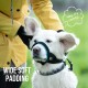 Gentle Muzzle for Dogs, Prevents Biting and Unwanted Chewing, Secure Comfort Fit, Soft Neoprene Padding, Training Guide Helps Build Bonds with Pet (XS, Pink) Gentle Muzzle for Dogs, Prevents Biting and Unwanted Chewing, Secure Comfort Fit, Soft Neoprene Padding, Training Guide Helps Build Bonds with Pet (XS, Pink)