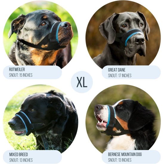 Gentle Muzzle for Dogs, Prevents Biting and Unwanted Chewing, Secure Comfort Fit, Soft Neoprene Padding, Training Guide Helps Build Bonds with Pet (XS, Pink) Gentle Muzzle for Dogs, Prevents Biting and Unwanted Chewing, Secure Comfort Fit, Soft Neoprene Padding, Training Guide Helps Build Bonds with Pet (XS, Pink)