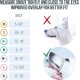 Gentle Muzzle for Dogs, Prevents Biting and Unwanted Chewing, Secure Comfort Fit, Soft Neoprene Padding, Training Guide Helps Build Bonds with Pet (XS, Pink) Gentle Muzzle for Dogs, Prevents Biting and Unwanted Chewing, Secure Comfort Fit, Soft Neoprene Padding, Training Guide Helps Build Bonds with Pet (XS, Pink)
