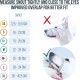 Gentle Muzzle for Dogs, Prevents Biting and Unwanted Chewing, Secure Comfort Fit, Soft Neoprene Padding, Training Guide Helps Build Bonds with Pet (XS, Pink) Gentle Muzzle for Dogs, Prevents Biting and Unwanted Chewing, Secure Comfort Fit, Soft Neoprene Padding, Training Guide Helps Build Bonds with Pet (XS, Pink)