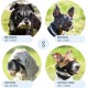 Gentle Muzzle for Dogs, Prevents Biting and Unwanted Chewing, Secure Comfort Fit, Soft Neoprene Padding, Training Guide Helps Build Bonds with Pet (XS, Pink) Gentle Muzzle for Dogs, Prevents Biting and Unwanted Chewing, Secure Comfort Fit, Soft Neoprene Padding, Training Guide Helps Build Bonds with Pet (XS, Pink)