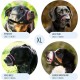 Gentle Muzzle for Dogs, Prevents Biting and Unwanted Chewing, Secure Comfort Fit, Soft Neoprene Padding, Training Guide Helps Build Bonds with Pet (XS, Pink) Gentle Muzzle for Dogs, Prevents Biting and Unwanted Chewing, Secure Comfort Fit, Soft Neoprene Padding, Training Guide Helps Build Bonds with Pet (XS, Pink)
