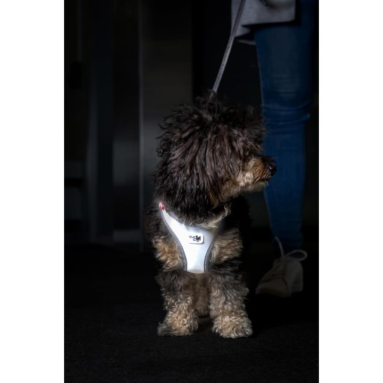 Glow Curli Clasp Vest Harness Reflective Grey XL Glow Curli Clasp Vest Harness Reflective Grey XL