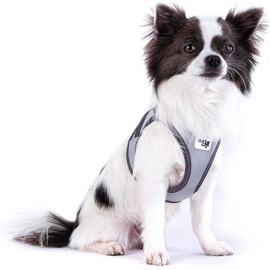 Glow Curli Clasp Vest Harness Reflective Grey XL Glow Curli Clasp Vest Harness Reflective Grey XL
