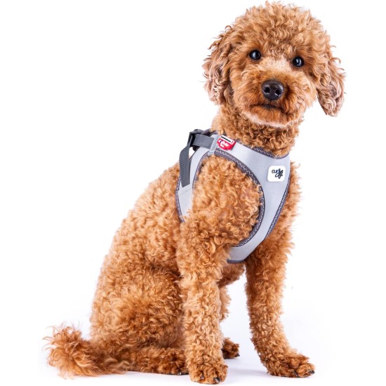Glow Curli Clasp Vest Harness Reflective Grey XL Glow Curli Clasp Vest Harness Reflective Grey XL