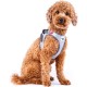 Glow Curli Clasp Vest Harness Reflective Grey XL Glow Curli Clasp Vest Harness Reflective Grey XL