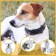 HABNI 6 Stück Personalisierte Adressanhänger Für Hunde Katzen, Hundehalsbandanhänger Mit Schlüsselring, Wasserdichte Haustiere Hunde Katzen Zubehör, Adresskapsel Für Haustiere, Katzen, Hunde HABNI 6 Stück Personalisierte Adressanhänger Für Hunde Katzen, Hundehalsbandanhänger Mit Schlüsselring, Wasserdichte Haustiere Hunde Katzen Zubehör, Adresskapsel Für Haustiere, Katzen, Hunde