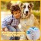 HABNI 6 Stück Personalisierte Adressanhänger Für Hunde Katzen, Hundehalsbandanhänger Mit Schlüsselring, Wasserdichte Haustiere Hunde Katzen Zubehör, Adresskapsel Für Haustiere, Katzen, Hunde HABNI 6 Stück Personalisierte Adressanhänger Für Hunde Katzen, Hundehalsbandanhänger Mit Schlüsselring, Wasserdichte Haustiere Hunde Katzen Zubehör, Adresskapsel Für Haustiere, Katzen, Hunde