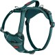 HALTI Anatomy Dog Harness with Handle - Freedom of Movement for Your Dog. 3 Leash Connection Points, Neoprene Padding, Adjustable and Reflective (XS, Teal) HALTI Anatomy Dog Harness with Handle - Freedom of Movement for Your Dog. 3 Leash Connection Points, Neoprene Padding, Adjustable and Reflective (XS, Teal)