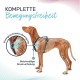 HALTI Anatomy Dog Harness with Handle - Freedom of Movement for Your Dog. 3 Leash Connection Points, Neoprene Padding, Adjustable and Reflective (XS, Teal) HALTI Anatomy Dog Harness with Handle - Freedom of Movement for Your Dog. 3 Leash Connection Points, Neoprene Padding, Adjustable and Reflective (XS, Teal)