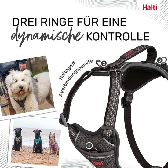 HALTI Anatomy Dog Harness with Handle - Freedom of Movement for Your Dog. 3 Leash Connection Points, Neoprene Padding, Adjustable and Reflective (XS, Teal) HALTI Anatomy Dog Harness with Handle - Freedom of Movement for Your Dog. 3 Leash Connection Points, Neoprene Padding, Adjustable and Reflective (XS, Teal)
