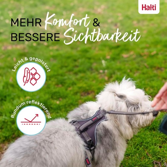 HALTI Anatomy Dog Harness with Handle - Freedom of Movement for Your Dog. 3 Leash Connection Points, Neoprene Padding, Adjustable and Reflective (XS, Teal) HALTI Anatomy Dog Harness with Handle - Freedom of Movement for Your Dog. 3 Leash Connection Points, Neoprene Padding, Adjustable and Reflective (XS, Teal)