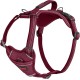 HALTI Anatomy Dog Harness with Handle - Freedom of Movement for Your Dog. 3 Leash Connection Points, Neoprene Padding, Adjustable and Reflective (XS, Teal) HALTI Anatomy Dog Harness with Handle - Freedom of Movement for Your Dog. 3 Leash Connection Points, Neoprene Padding, Adjustable and Reflective (XS, Teal)
