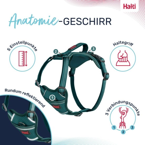 HALTI Anatomy Dog Harness with Handle - Freedom of Movement for Your Dog. 3 Leash Connection Points, Neoprene Padding, Adjustable and Reflective (XS, Teal) HALTI Anatomy Dog Harness with Handle - Freedom of Movement for Your Dog. 3 Leash Connection Points, Neoprene Padding, Adjustable and Reflective (XS, Teal)