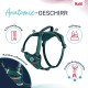 HALTI Anatomy Dog Harness with Handle - Freedom of Movement for Your Dog. 3 Leash Connection Points, Neoprene Padding, Adjustable and Reflective (XS, Teal) HALTI Anatomy Dog Harness with Handle - Freedom of Movement for Your Dog. 3 Leash Connection Points, Neoprene Padding, Adjustable and Reflective (XS, Teal)
