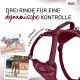 HALTI Anatomy Dog Harness with Handle - Freedom of Movement for Your Dog. 3 Leash Connection Points, Neoprene Padding, Adjustable and Reflective (XS, Teal) HALTI Anatomy Dog Harness with Handle - Freedom of Movement for Your Dog. 3 Leash Connection Points, Neoprene Padding, Adjustable and Reflective (XS, Teal)