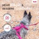 HALTI Anatomy Dog Harness with Handle - Freedom of Movement for Your Dog. 3 Leash Connection Points, Neoprene Padding, Adjustable and Reflective (XS, Teal) HALTI Anatomy Dog Harness with Handle - Freedom of Movement for Your Dog. 3 Leash Connection Points, Neoprene Padding, Adjustable and Reflective (XS, Teal)