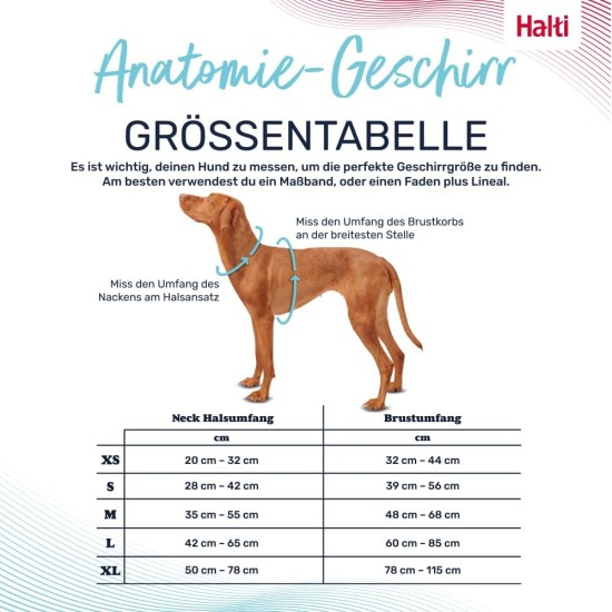 HALTI Anatomy Dog Harness with Handle - Freedom of Movement for Your Dog. 3 Leash Connection Points, Neoprene Padding, Adjustable and Reflective (XS, Teal) HALTI Anatomy Dog Harness with Handle - Freedom of Movement for Your Dog. 3 Leash Connection Points, Neoprene Padding, Adjustable and Reflective (XS, Teal)