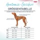 HALTI Anatomy Dog Harness with Handle - Freedom of Movement for Your Dog. 3 Leash Connection Points, Neoprene Padding, Adjustable and Reflective (XS, Teal) HALTI Anatomy Dog Harness with Handle - Freedom of Movement for Your Dog. 3 Leash Connection Points, Neoprene Padding, Adjustable and Reflective (XS, Teal)