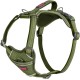 HALTI Anatomy Dog Harness with Handle - Freedom of Movement for Your Dog. 3 Leash Connection Points, Neoprene Padding, Adjustable and Reflective (XS, Teal) HALTI Anatomy Dog Harness with Handle - Freedom of Movement for Your Dog. 3 Leash Connection Points, Neoprene Padding, Adjustable and Reflective (XS, Teal)