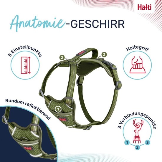 HALTI Anatomy Dog Harness with Handle - Freedom of Movement for Your Dog. 3 Leash Connection Points, Neoprene Padding, Adjustable and Reflective (XS, Teal) HALTI Anatomy Dog Harness with Handle - Freedom of Movement for Your Dog. 3 Leash Connection Points, Neoprene Padding, Adjustable and Reflective (XS, Teal)