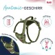 HALTI Anatomy Dog Harness with Handle - Freedom of Movement for Your Dog. 3 Leash Connection Points, Neoprene Padding, Adjustable and Reflective (XS, Teal) HALTI Anatomy Dog Harness with Handle - Freedom of Movement for Your Dog. 3 Leash Connection Points, Neoprene Padding, Adjustable and Reflective (XS, Teal)
