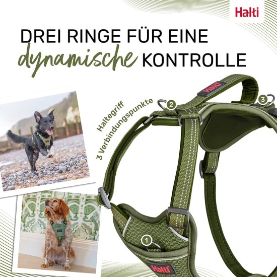 HALTI Anatomy Dog Harness with Handle - Freedom of Movement for Your Dog. 3 Leash Connection Points, Neoprene Padding, Adjustable and Reflective (XS, Teal) HALTI Anatomy Dog Harness with Handle - Freedom of Movement for Your Dog. 3 Leash Connection Points, Neoprene Padding, Adjustable and Reflective (XS, Teal)