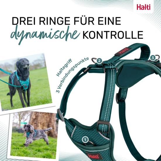 HALTI Anatomy Dog Harness with Handle - Freedom of Movement for Your Dog. 3 Leash Connection Points, Neoprene Padding, Adjustable and Reflective (XS, Teal) HALTI Anatomy Dog Harness with Handle - Freedom of Movement for Your Dog. 3 Leash Connection Points, Neoprene Padding, Adjustable and Reflective (XS, Teal)
