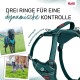HALTI Anatomy Dog Harness with Handle - Freedom of Movement for Your Dog. 3 Leash Connection Points, Neoprene Padding, Adjustable and Reflective (XS, Teal) HALTI Anatomy Dog Harness with Handle - Freedom of Movement for Your Dog. 3 Leash Connection Points, Neoprene Padding, Adjustable and Reflective (XS, Teal)