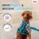 HALTI Anatomy Dog Harness with Handle - Freedom of Movement for Your Dog. 3 Leash Connection Points, Neoprene Padding, Adjustable and Reflective (XS, Teal) HALTI Anatomy Dog Harness with Handle - Freedom of Movement for Your Dog. 3 Leash Connection Points, Neoprene Padding, Adjustable and Reflective (XS, Teal)