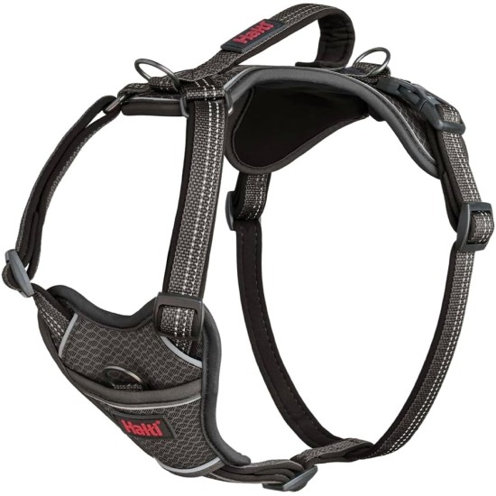 HALTI Anatomy Dog Harness with Handle - Freedom of Movement for Your Dog. 3 Leash Connection Points, Neoprene Padding, Adjustable and Reflective (XS, Teal) HALTI Anatomy Dog Harness with Handle - Freedom of Movement for Your Dog. 3 Leash Connection Points, Neoprene Padding, Adjustable and Reflective (XS, Teal)