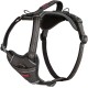 HALTI Anatomy Dog Harness with Handle - Freedom of Movement for Your Dog. 3 Leash Connection Points, Neoprene Padding, Adjustable and Reflective (XS, Teal) HALTI Anatomy Dog Harness with Handle - Freedom of Movement for Your Dog. 3 Leash Connection Points, Neoprene Padding, Adjustable and Reflective (XS, Teal)