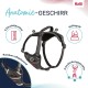 HALTI Anatomy Dog Harness with Handle - Freedom of Movement for Your Dog. 3 Leash Connection Points, Neoprene Padding, Adjustable and Reflective (XS, Teal) HALTI Anatomy Dog Harness with Handle - Freedom of Movement for Your Dog. 3 Leash Connection Points, Neoprene Padding, Adjustable and Reflective (XS, Teal)