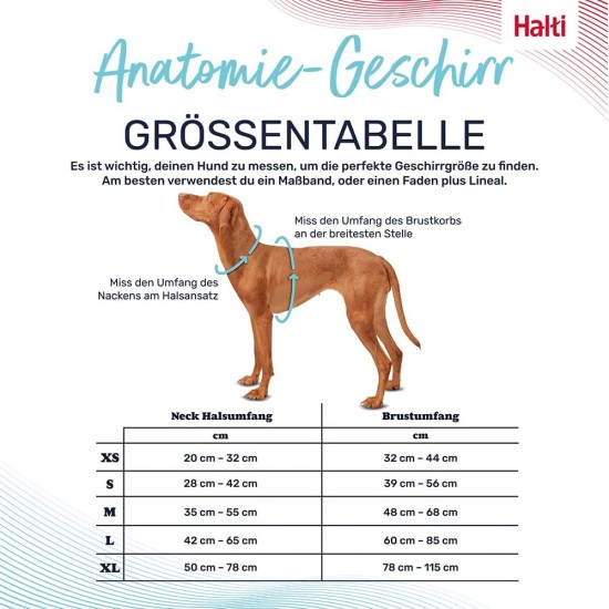 HALTI Anatomy Dog Harness with Handle - Freedom of Movement for Your Dog. 3 Leash Connection Points, Neoprene Padding, Adjustable and Reflective (XS, Teal) HALTI Anatomy Dog Harness with Handle - Freedom of Movement for Your Dog. 3 Leash Connection Points, Neoprene Padding, Adjustable and Reflective (XS, Teal)