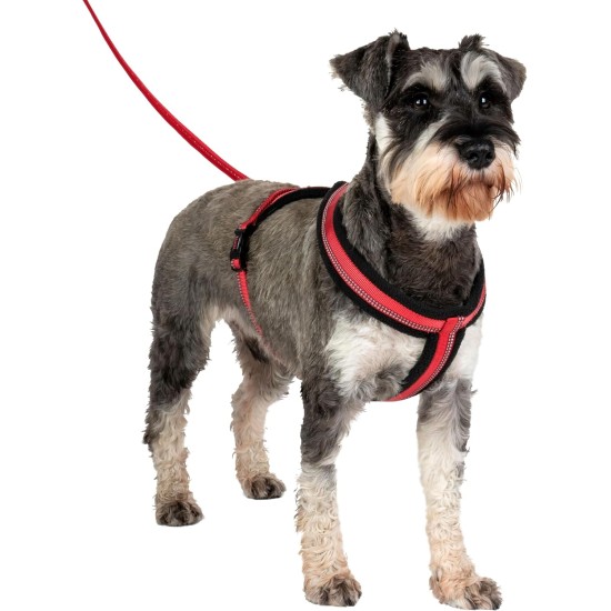 HALTI Comfy Dog Harness - Fleece Lining with 3M Reflective Fabric, Front and Back Attachments for Extra Control with a Dog Leash. Suitable for Small Dogs and Puppies (Small) HALTI Comfy Dog Harness - Fleece Lining with 3M Reflective Fabric, Front and Back Attachments for Extra Control with a Dog Leash. Suitable for Small Dogs and Puppies (Small)