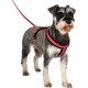 HALTI Comfy Dog Harness - Fleece Lining with 3M Reflective Fabric, Front and Back Attachments for Extra Control with a Dog Leash. Suitable for Small Dogs and Puppies (Small) HALTI Comfy Dog Harness - Fleece Lining with 3M Reflective Fabric, Front and Back Attachments for Extra Control with a Dog Leash. Suitable for Small Dogs and Puppies (Small)