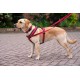 HALTI Comfy Dog Harness - Fleece Lining with 3M Reflective Fabric, Front and Back Attachments for Extra Control with a Dog Leash. Suitable for Small Dogs and Puppies (Small) HALTI Comfy Dog Harness - Fleece Lining with 3M Reflective Fabric, Front and Back Attachments for Extra Control with a Dog Leash. Suitable for Small Dogs and Puppies (Small)