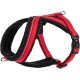 HALTI Comfy Dog Harness - Fleece Lining with 3M Reflective Fabric, Front and Back Attachments for Extra Control with a Dog Leash. Suitable for Small Dogs and Puppies (Small) HALTI Comfy Dog Harness - Fleece Lining with 3M Reflective Fabric, Front and Back Attachments for Extra Control with a Dog Leash. Suitable for Small Dogs and Puppies (Small)