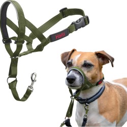 HALTI Head Harness - Prevents Your Dog from Pulling on the Lead, Easy Adjustment, Lightweight, with Padded Noseband, Anti-Pull Collar for Small Dogs (Size 1, Forest Green)