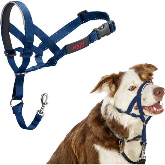 HALTI Head Harness - Prevents Your Dog from Pulling on the Lead, Easy Adjustment, Lightweight, with Padded Noseband, Anti-Pull Collar for Small Dogs (Size 1, Forest Green) HALTI Head Harness - Prevents Your Dog from Pulling on the Lead, Easy Adjustment, Lightweight, with Padded Noseband, Anti-Pull Collar for Small Dogs (Size 1, Forest Green)