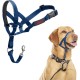 HALTI Head Harness - Prevents Your Dog from Pulling on the Lead, Easy Adjustment, Lightweight, with Padded Noseband, Anti-Pull Collar for Small Dogs (Size 1, Forest Green) HALTI Head Harness - Prevents Your Dog from Pulling on the Lead, Easy Adjustment, Lightweight, with Padded Noseband, Anti-Pull Collar for Small Dogs (Size 1, Forest Green)