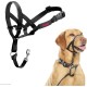 HALTI Head Harness - Prevents Your Dog from Pulling on the Lead, Easy Adjustment, Lightweight, with Padded Noseband, Anti-Pull Collar for Small Dogs (Size 1, Forest Green) HALTI Head Harness - Prevents Your Dog from Pulling on the Lead, Easy Adjustment, Lightweight, with Padded Noseband, Anti-Pull Collar for Small Dogs (Size 1, Forest Green)