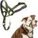 HALTI Head Harness - Prevents Your Dog from Pulling on the Lead, Easy Adjustment, Lightweight, with Padded Noseband, Anti-Pull Collar for Small Dogs (Size 1, Forest Green) HALTI Head Harness - Prevents Your Dog from Pulling on the Lead, Easy Adjustment, Lightweight, with Padded Noseband, Anti-Pull Collar for Small Dogs (Size 1, Forest Green)