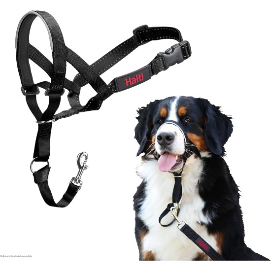 HALTI Head Harness - Prevents Your Dog from Pulling on the Lead, Easy Adjustment, Lightweight, with Padded Noseband, Anti-Pull Collar for Small Dogs (Size 1, Forest Green) HALTI Head Harness - Prevents Your Dog from Pulling on the Lead, Easy Adjustment, Lightweight, with Padded Noseband, Anti-Pull Collar for Small Dogs (Size 1, Forest Green)