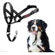 HALTI Head Harness - Prevents Your Dog from Pulling on the Lead, Easy Adjustment, Lightweight, with Padded Noseband, Anti-Pull Collar for Small Dogs (Size 1, Forest Green) HALTI Head Harness - Prevents Your Dog from Pulling on the Lead, Easy Adjustment, Lightweight, with Padded Noseband, Anti-Pull Collar for Small Dogs (Size 1, Forest Green)