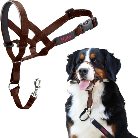 HALTI Head Harness - Prevents Your Dog from Pulling on the Lead, Easy Adjustment, Lightweight, with Padded Noseband, Anti-Pull Collar for Small Dogs (Size 1, Forest Green) HALTI Head Harness - Prevents Your Dog from Pulling on the Lead, Easy Adjustment, Lightweight, with Padded Noseband, Anti-Pull Collar for Small Dogs (Size 1, Forest Green)