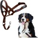 HALTI Head Harness - Prevents Your Dog from Pulling on the Lead, Easy Adjustment, Lightweight, with Padded Noseband, Anti-Pull Collar for Small Dogs (Size 1, Forest Green) HALTI Head Harness - Prevents Your Dog from Pulling on the Lead, Easy Adjustment, Lightweight, with Padded Noseband, Anti-Pull Collar for Small Dogs (Size 1, Forest Green)