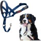 HALTI Head Harness - Prevents Your Dog from Pulling on the Lead, Easy Adjustment, Lightweight, with Padded Noseband, Anti-Pull Collar for Small Dogs (Size 1, Forest Green) HALTI Head Harness - Prevents Your Dog from Pulling on the Lead, Easy Adjustment, Lightweight, with Padded Noseband, Anti-Pull Collar for Small Dogs (Size 1, Forest Green)
