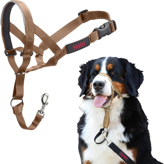 HALTI Head Harness - Prevents Your Dog from Pulling on the Lead, Easy Adjustment, Lightweight, with Padded Noseband, Anti-Pull Collar for Small Dogs (Size 1, Forest Green) HALTI Head Harness - Prevents Your Dog from Pulling on the Lead, Easy Adjustment, Lightweight, with Padded Noseband, Anti-Pull Collar for Small Dogs (Size 1, Forest Green)